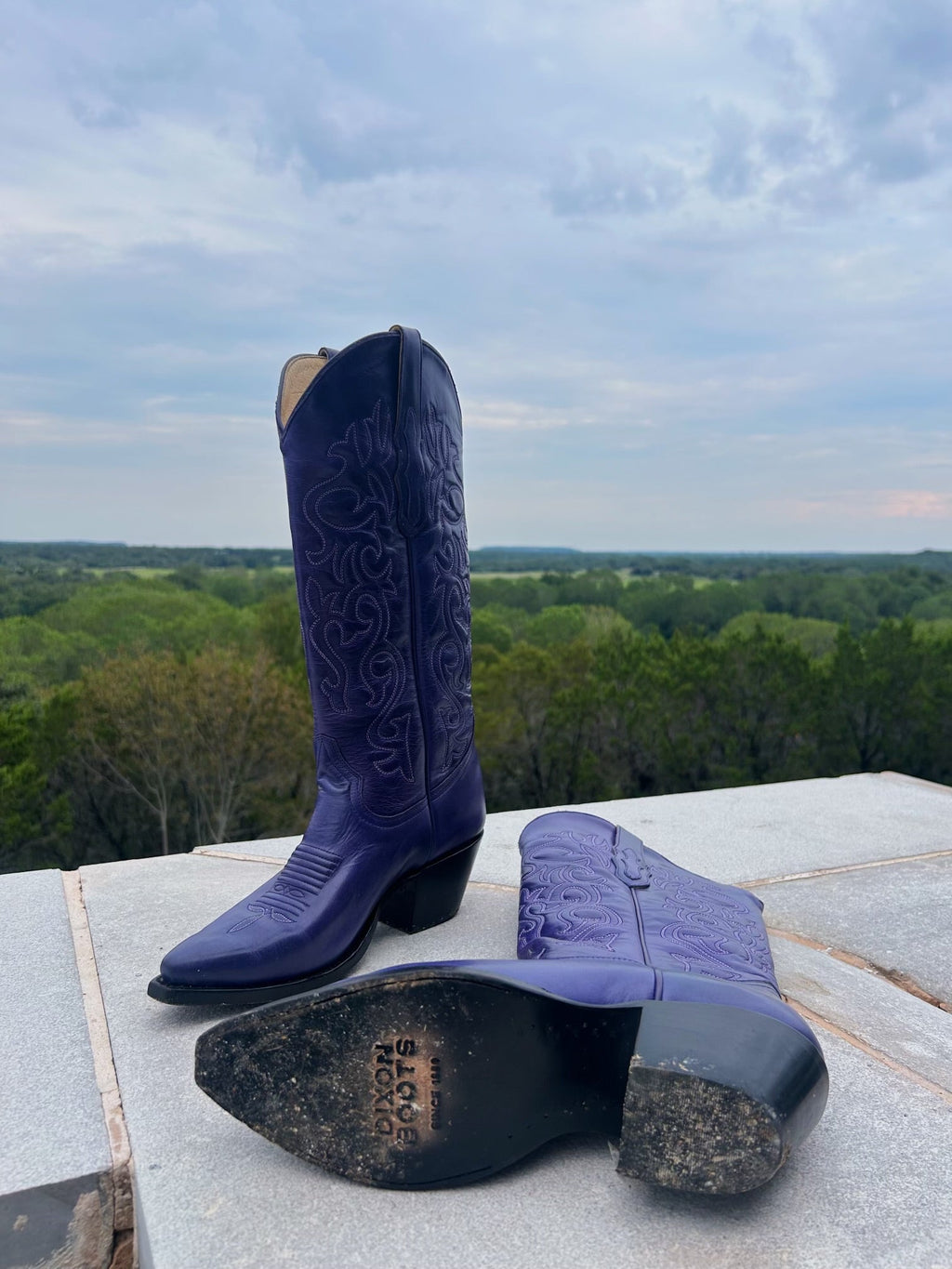 THE VAQUERA IN PURPLE