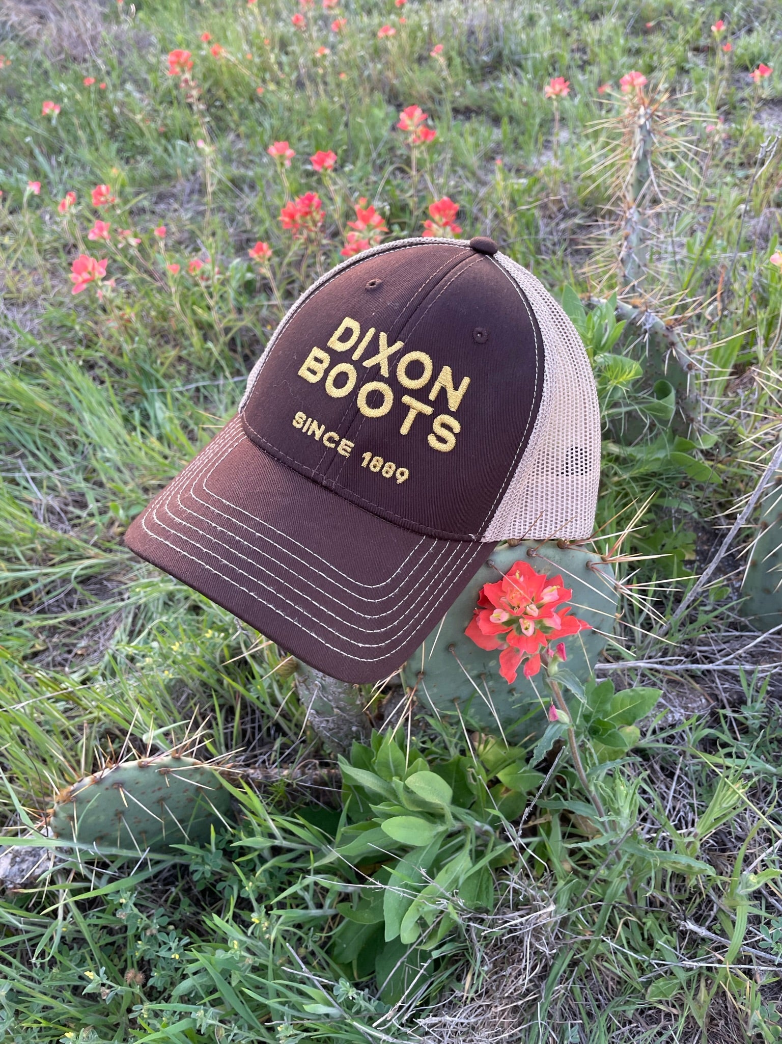 Brown Dixon Hat with horizontal logo