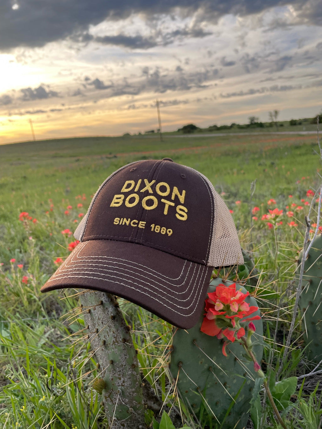 Brown Dixon Hat with horizontal logo