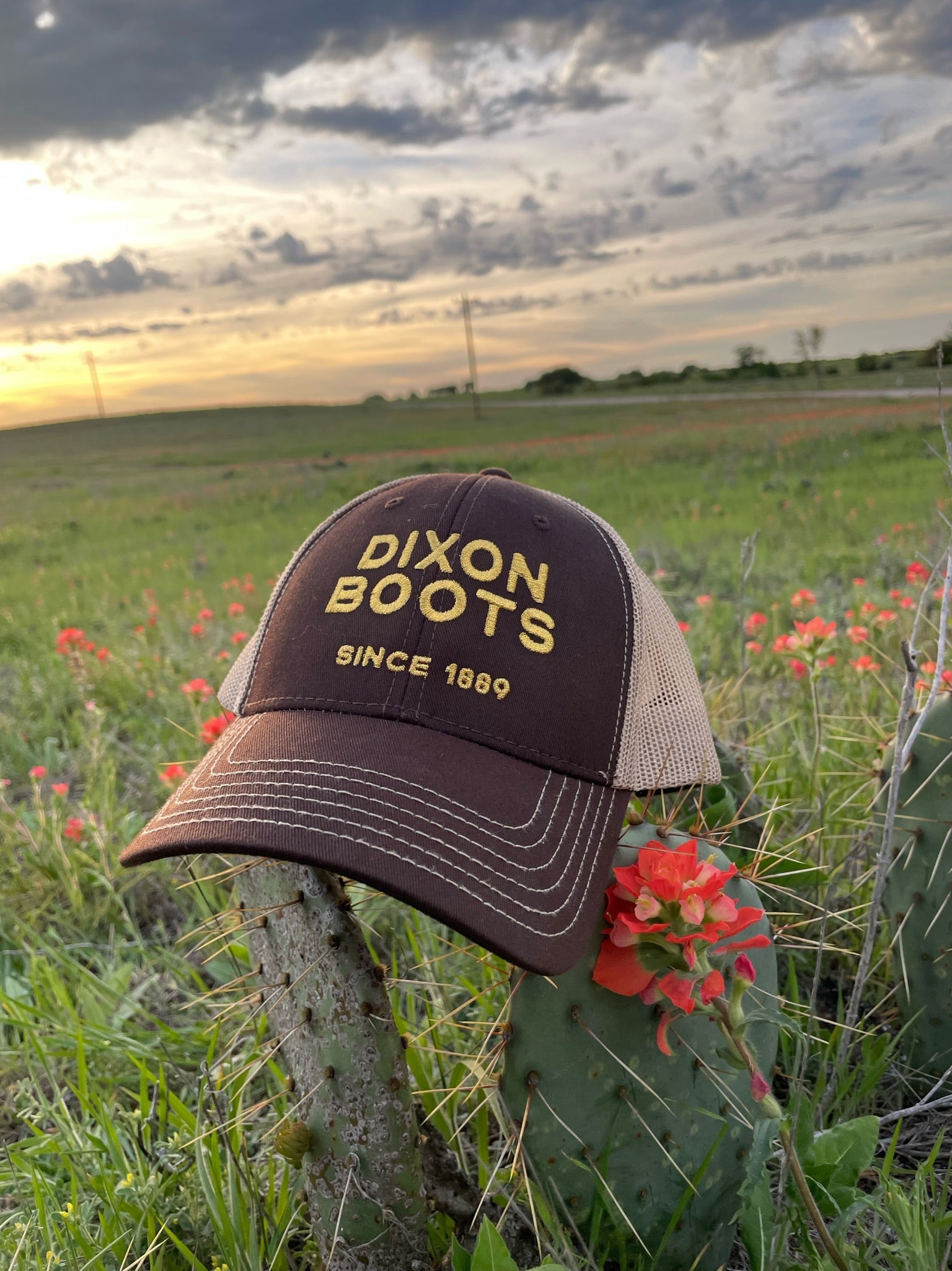 Brown Dixon Hat with horizontal logo