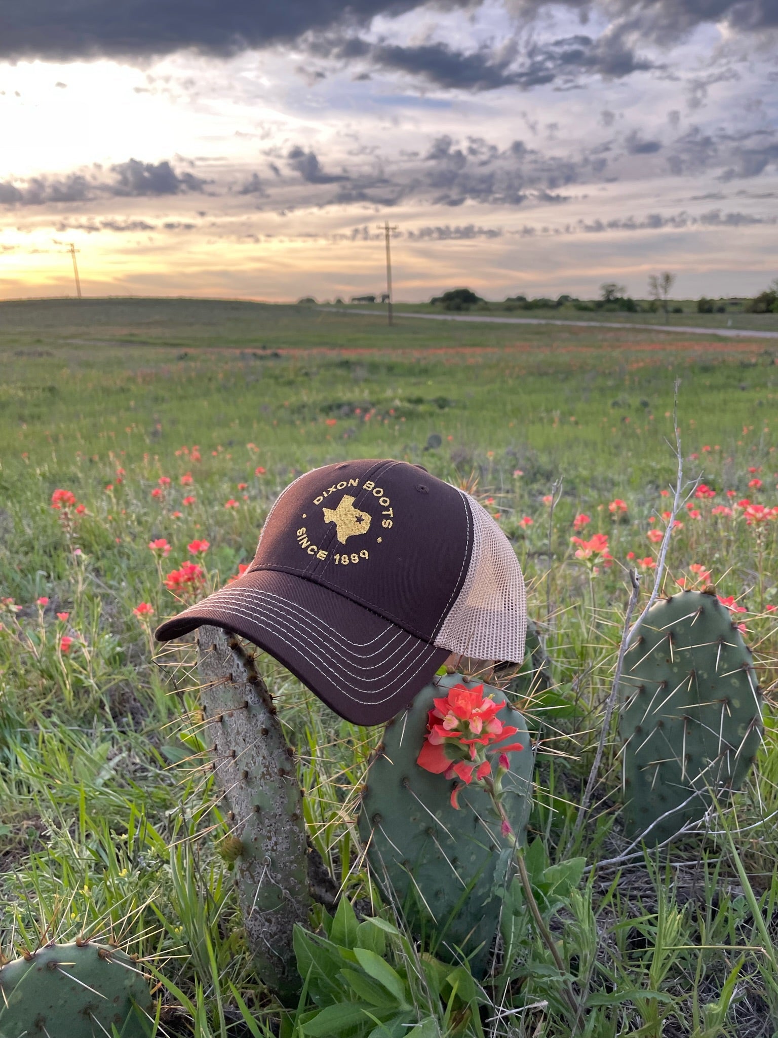 Brown Dixon Hat with round logo