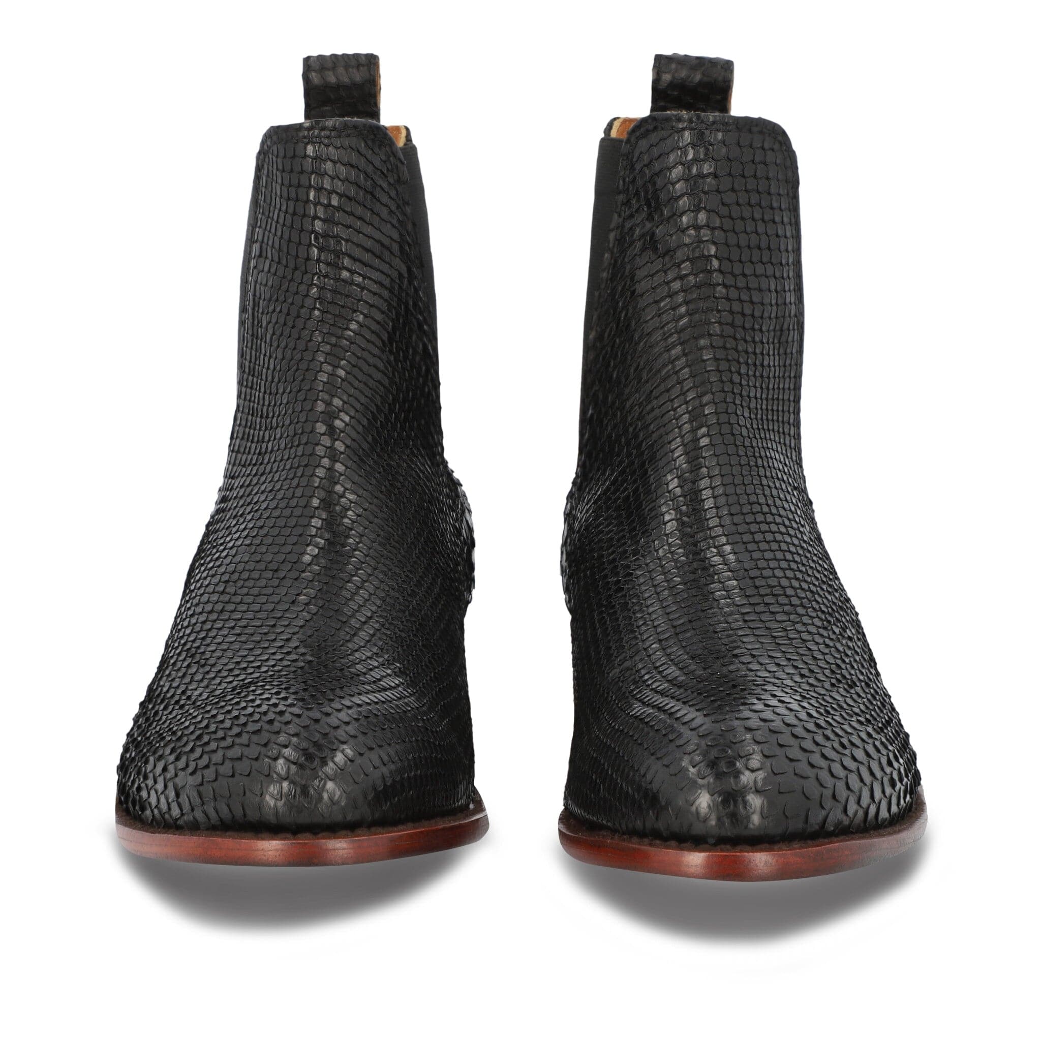The Rebel - Midnight Python