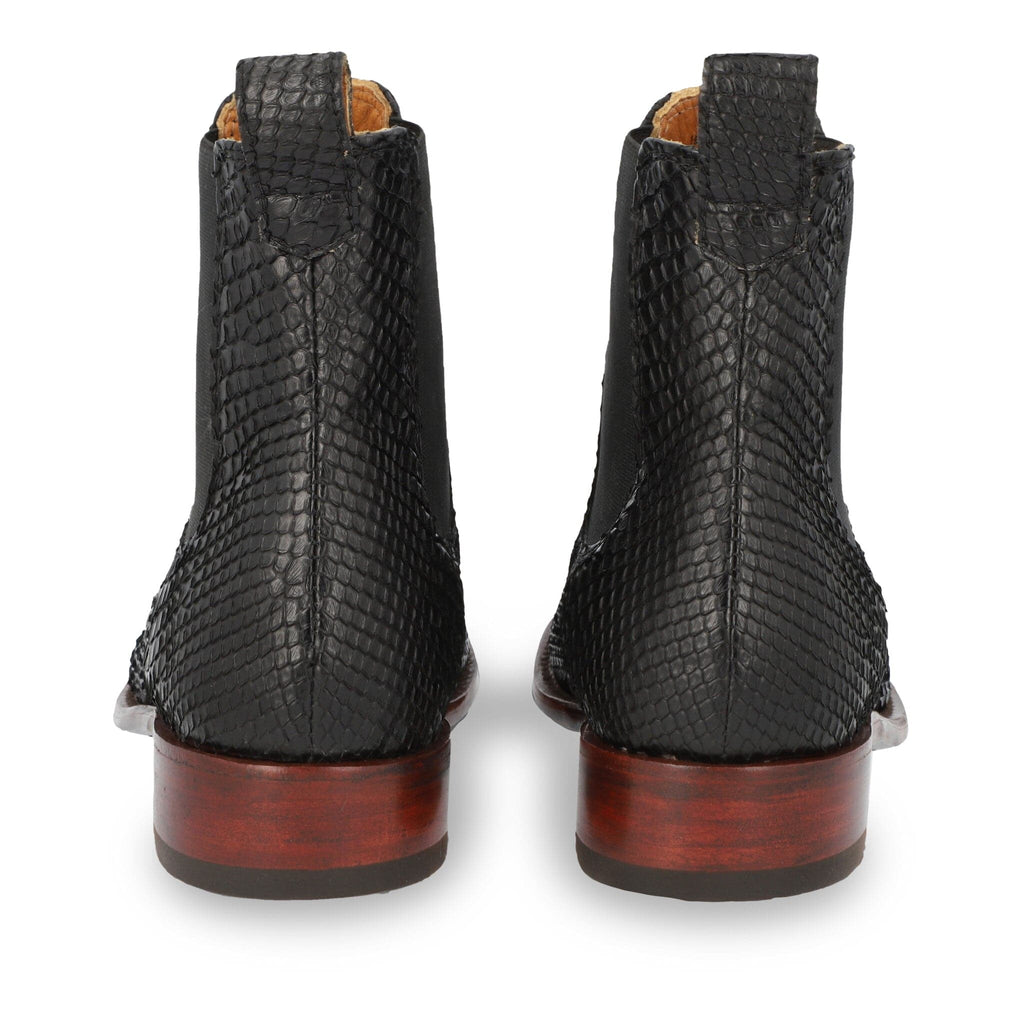 The Rebel - Midnight Python