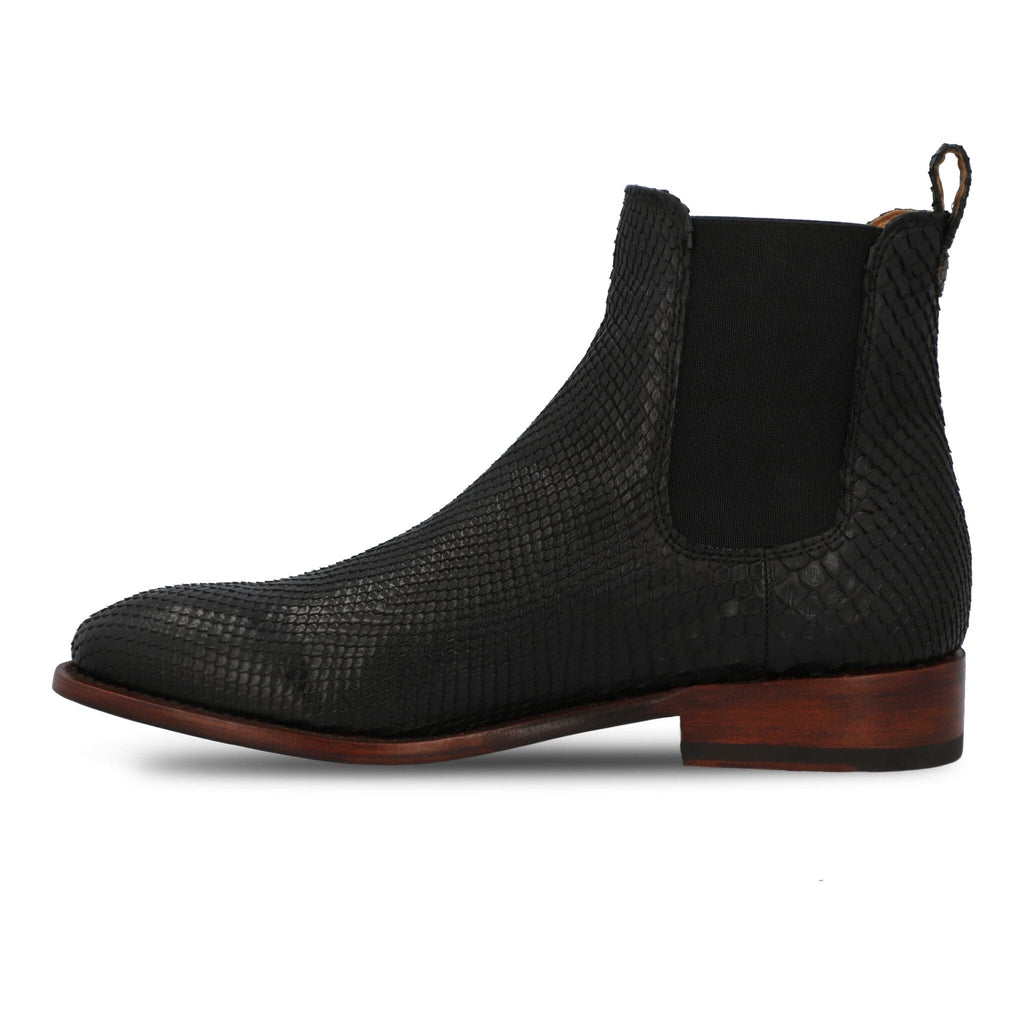The Rebel - Midnight Python