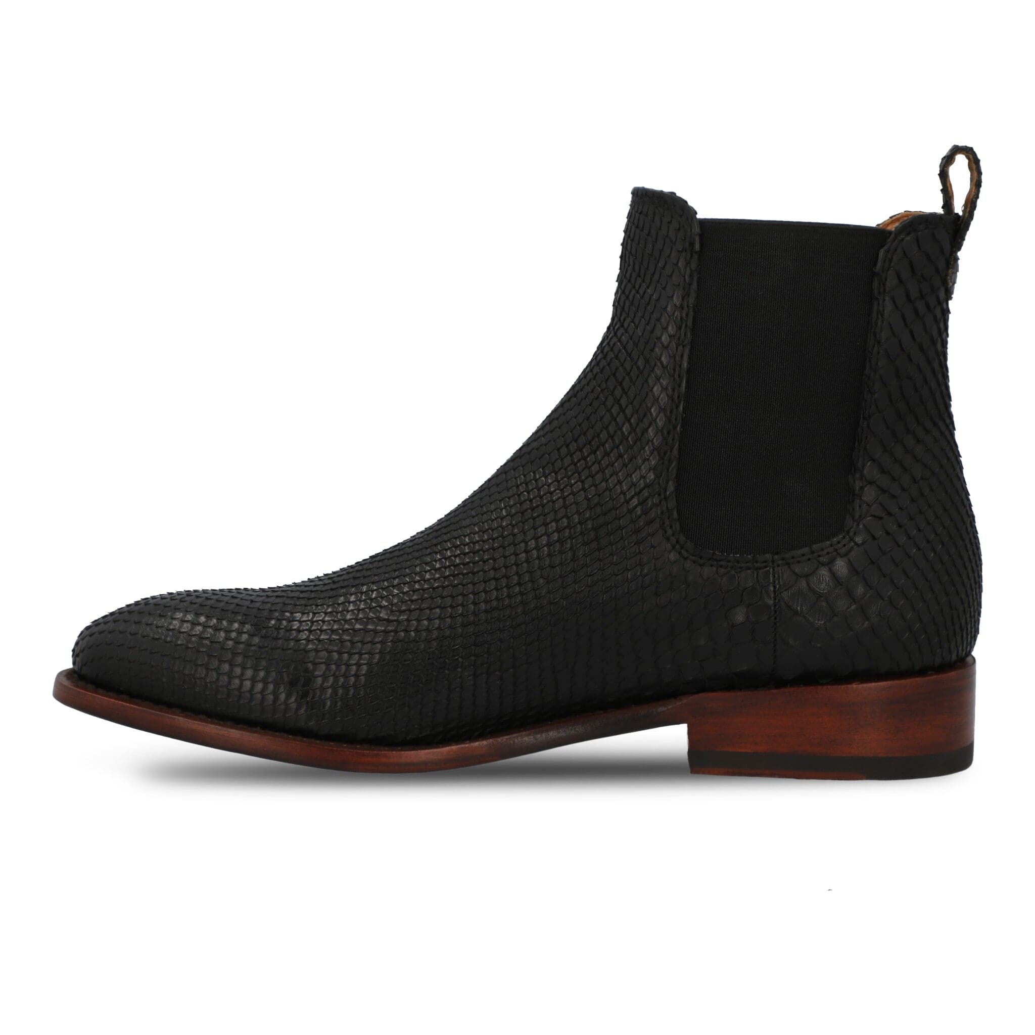 The Rebel - Midnight Python